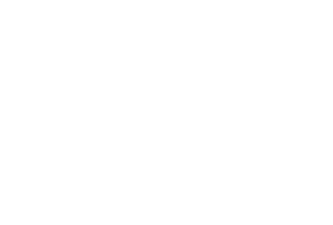 Logo Google